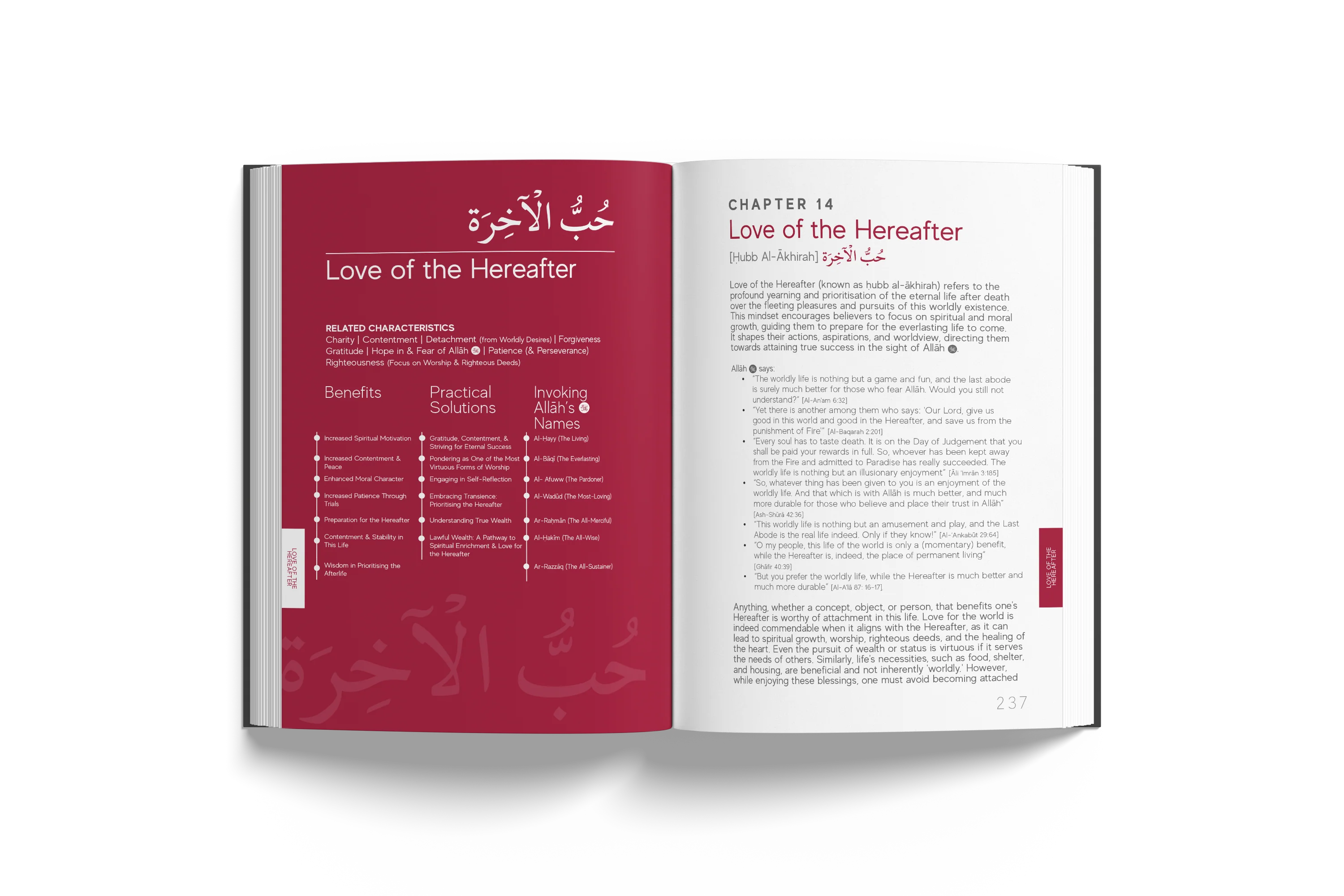A Handbook of Prophetic Characteristics - Premium Hardback - Image 10