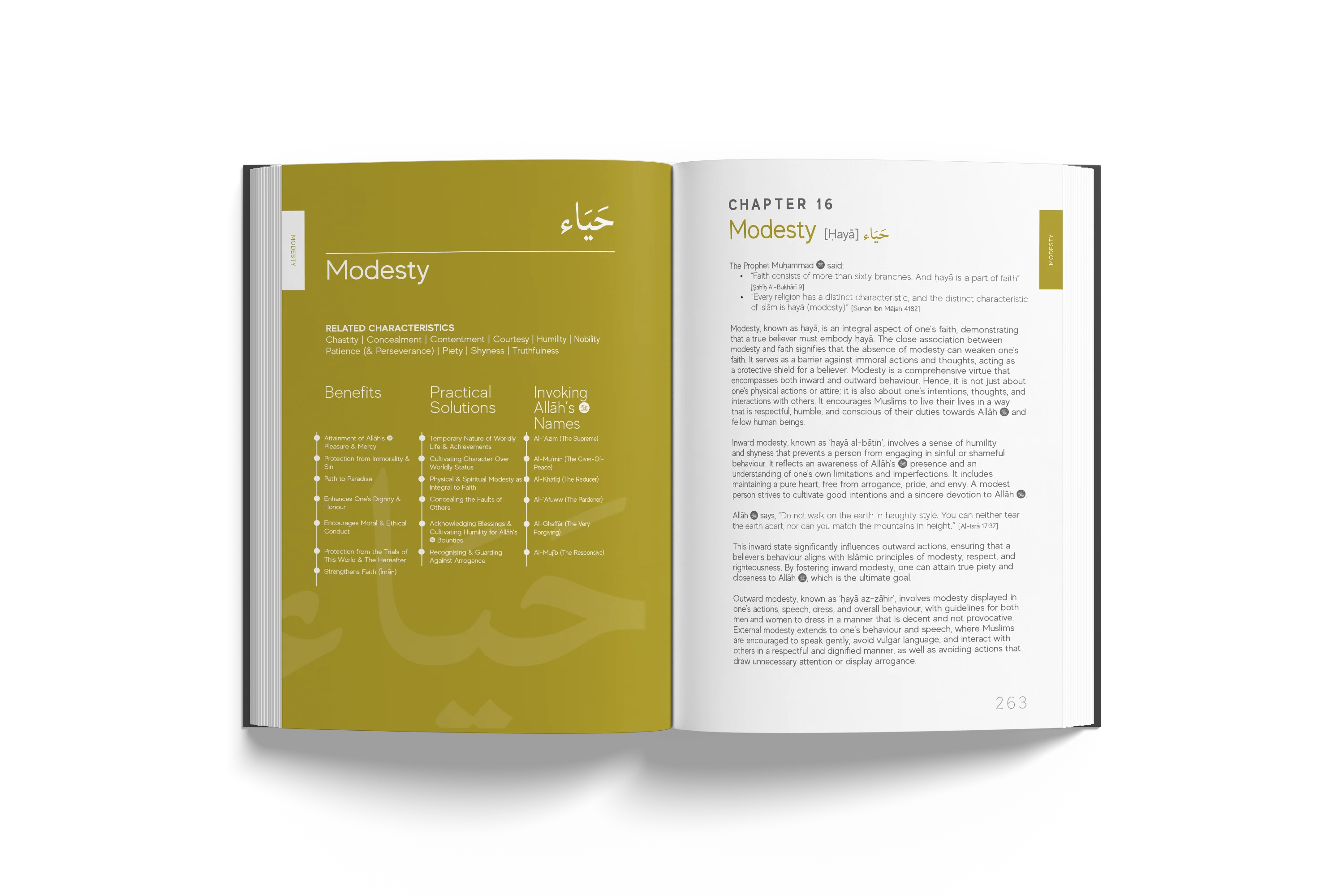 A Handbook of Prophetic Characteristics - Premium Hardback - Image 15
