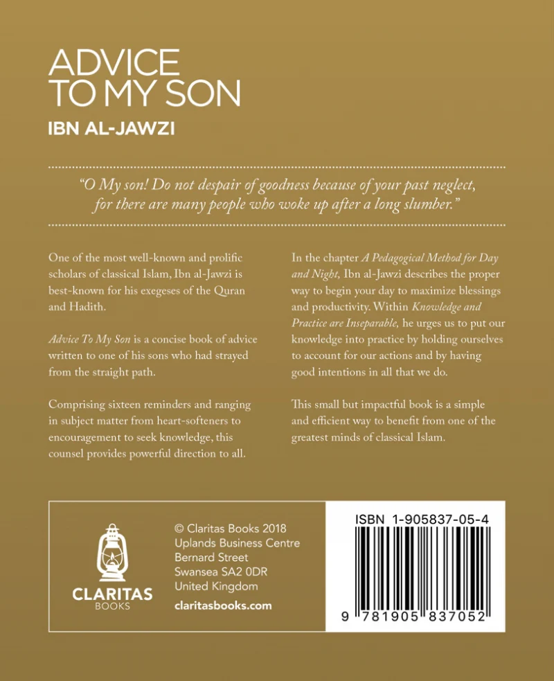 Advice To My Son - Image 4