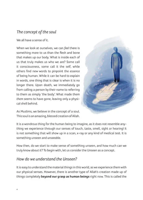 Journey of The Soul: Heading Home - Hardcover (Zimarina Sarwar) - Image 3