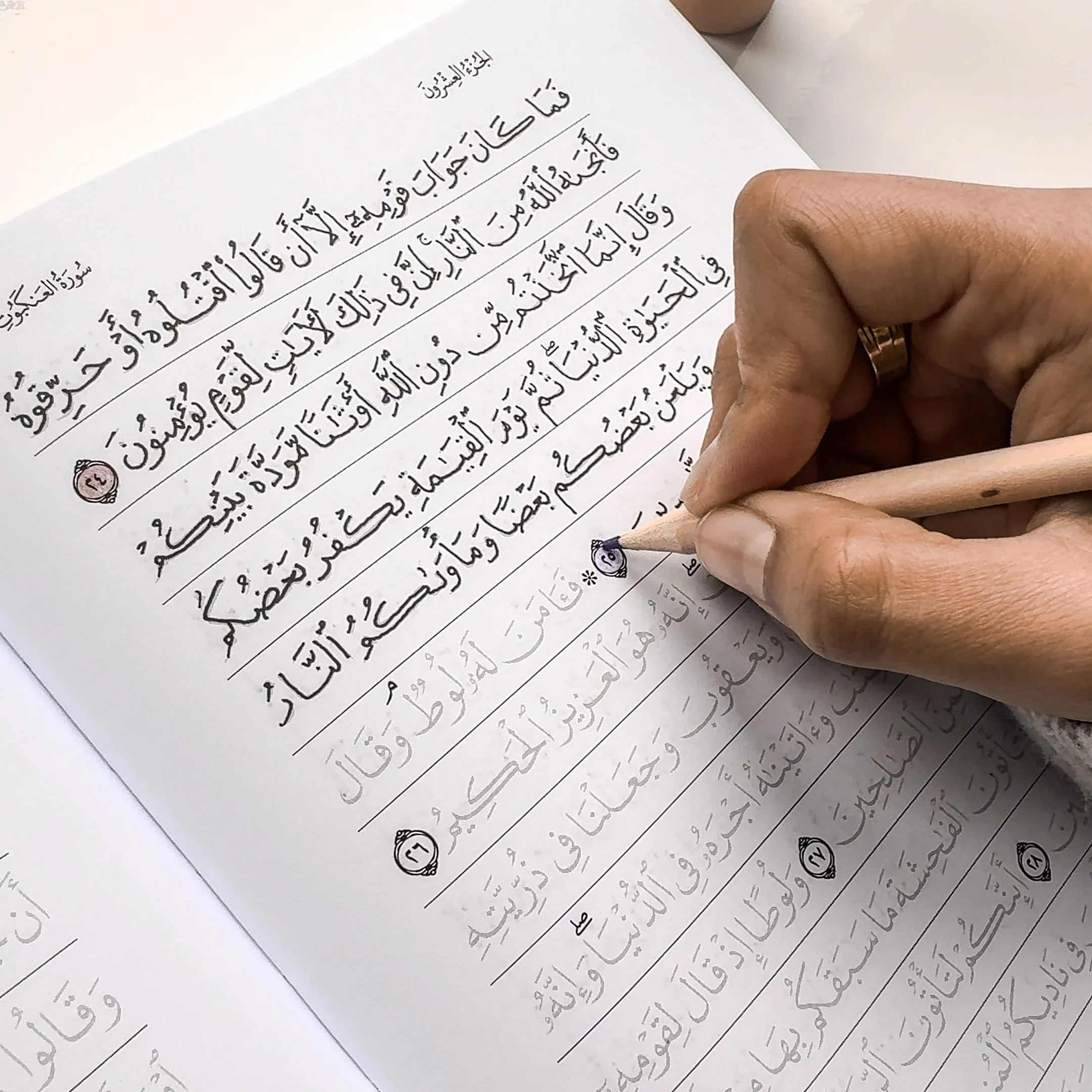 Quran Trace - Green (Rawdah Edition) Medina Uthmani - Image 17