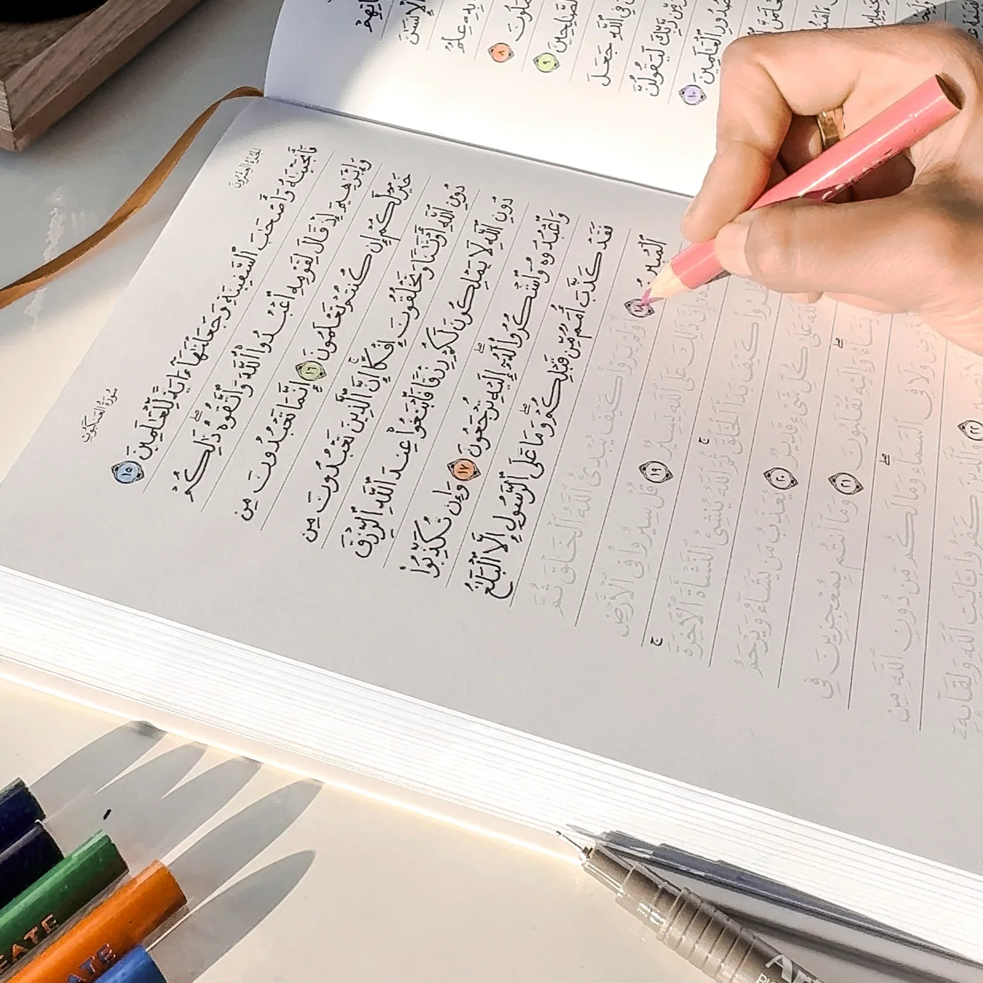 Quran Trace - Green (Rawdah Edition) Medina Uthmani - Image 23