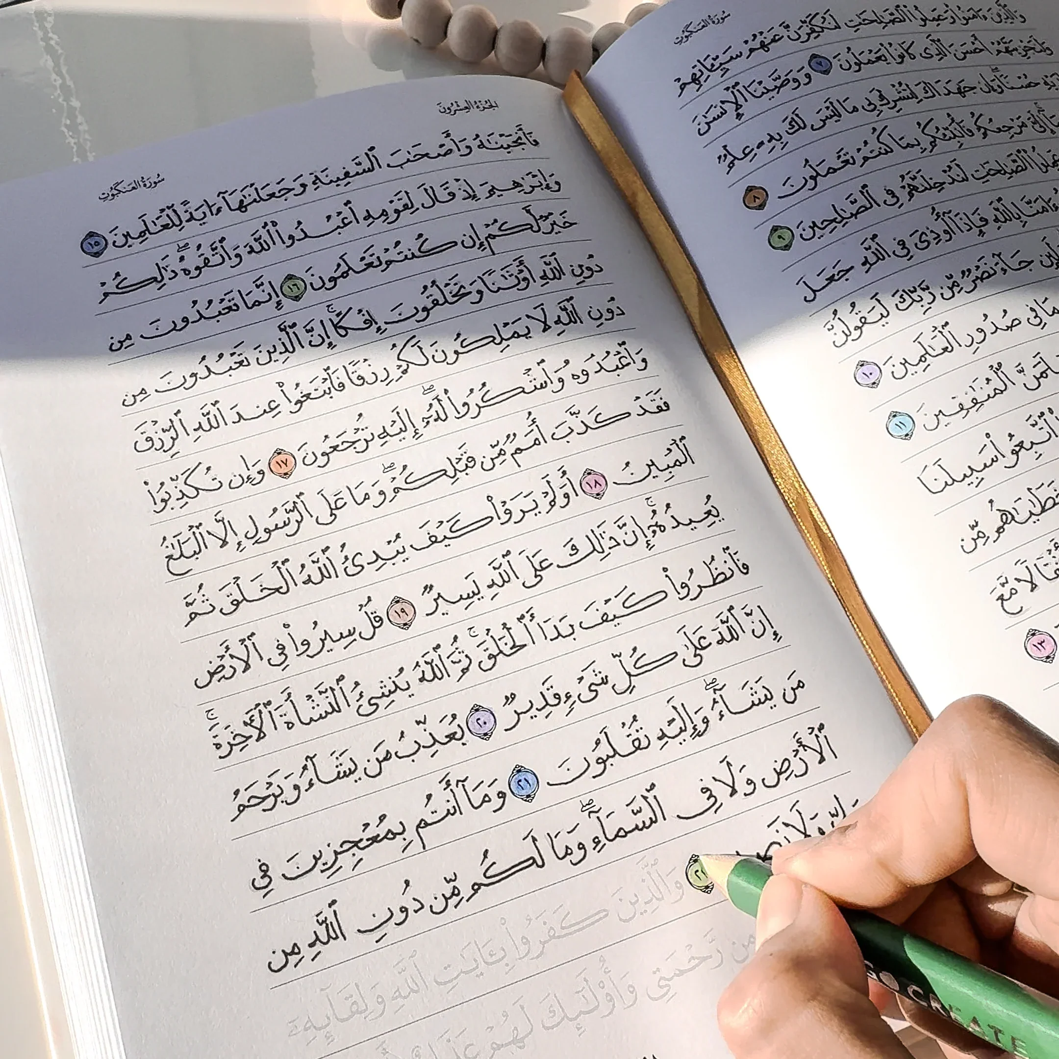 Quran Trace - Green (Rawdah Edition) Medina Uthmani - Image 24