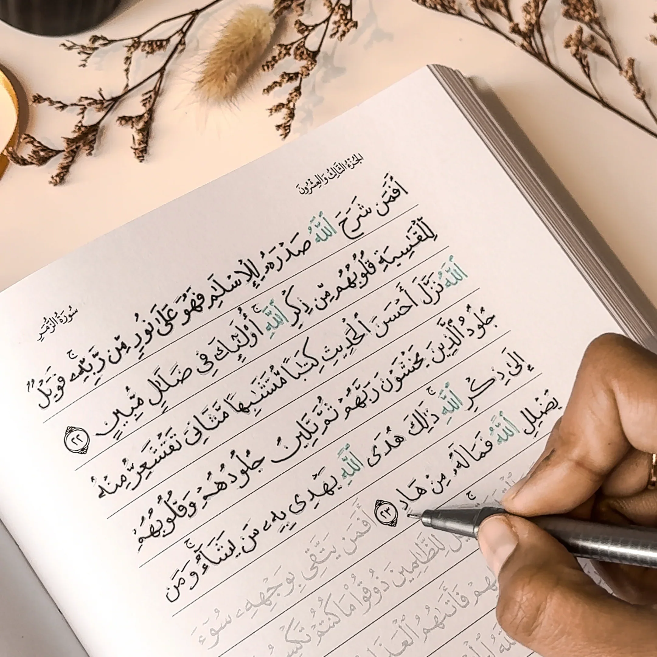 Quran Trace - Green (Rawdah Edition) Medina Uthmani - Image 40