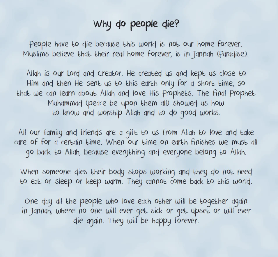 We Will Meet Again In Jannah - Image 3
